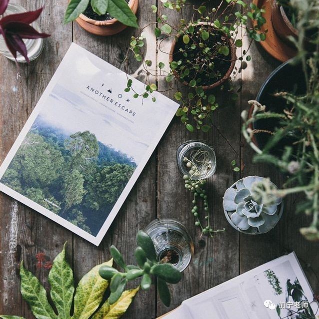 考研课程cctalk,考天下网上考试系统