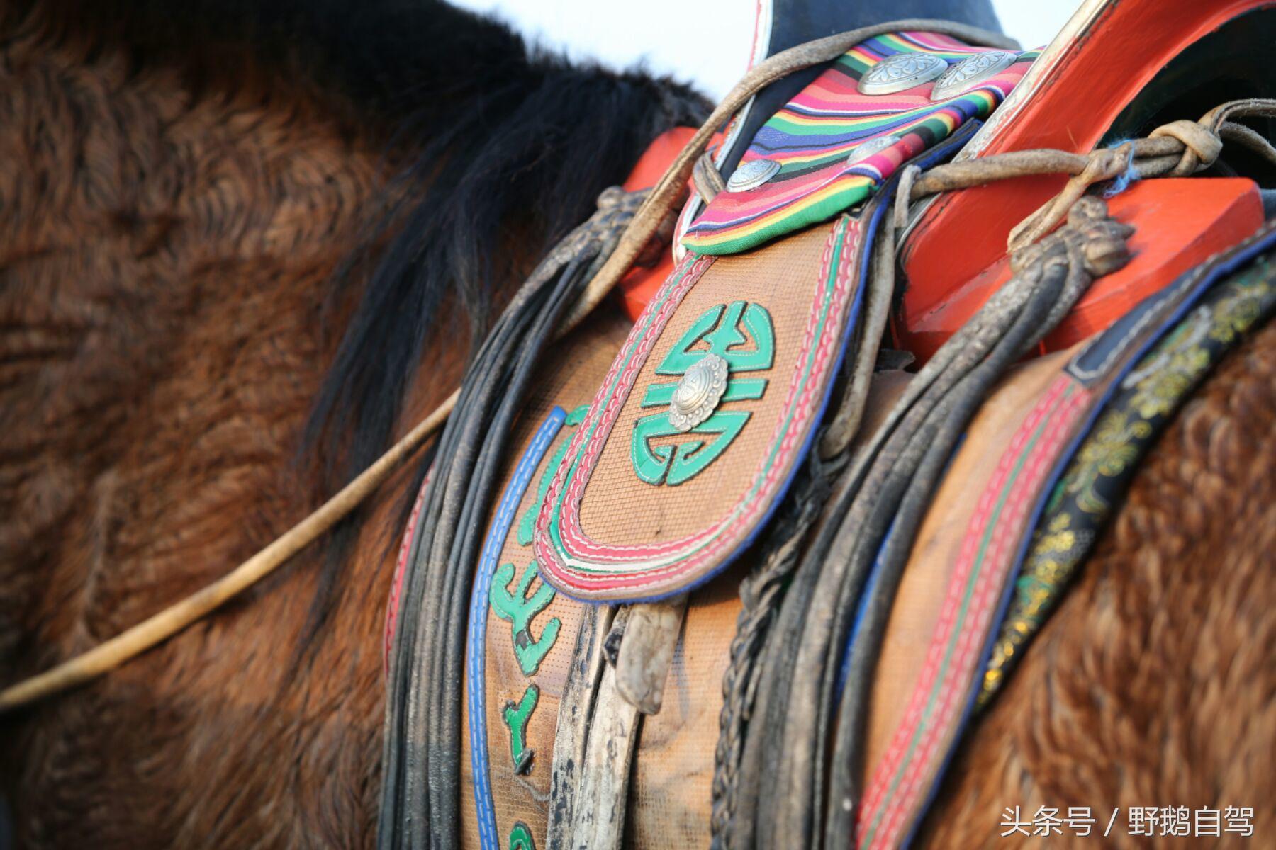 锡林郭勒盟那达慕自驾攻略,锡林郭勒冰雪那达慕完整版