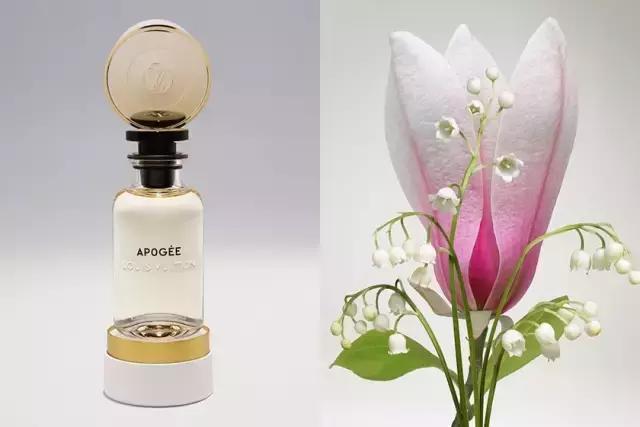 2017年第一波香评来袭！我又不淡定了