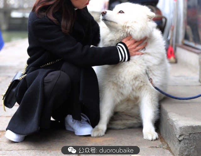 古镇寻肉记:那些旅行中遇见的植物!