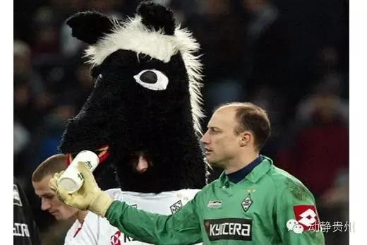 别喷春晚了,来看吉祥物开心开心!