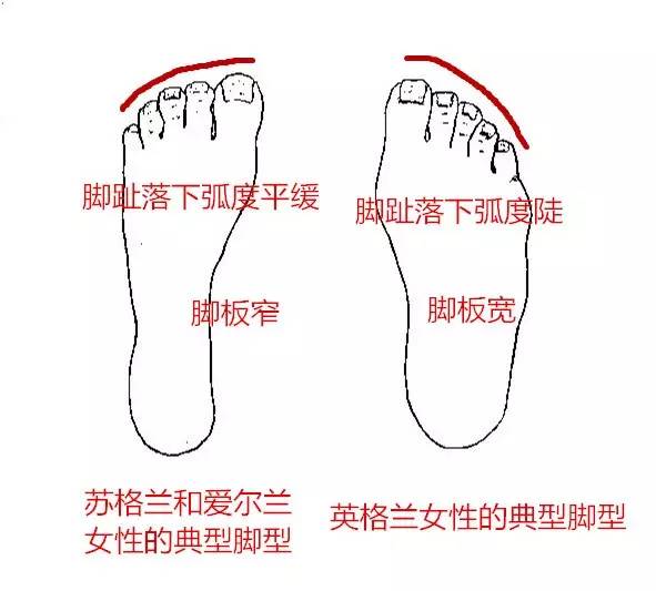 谣言粉碎机你都上当了吗,谣言粉碎机图片