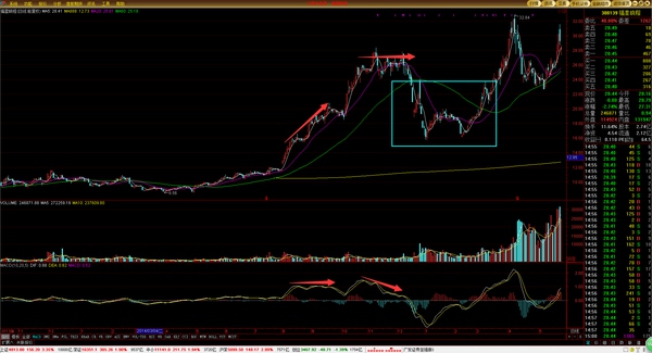 高级操盘手必备技巧,顶级操盘手的10个日常步骤供参考