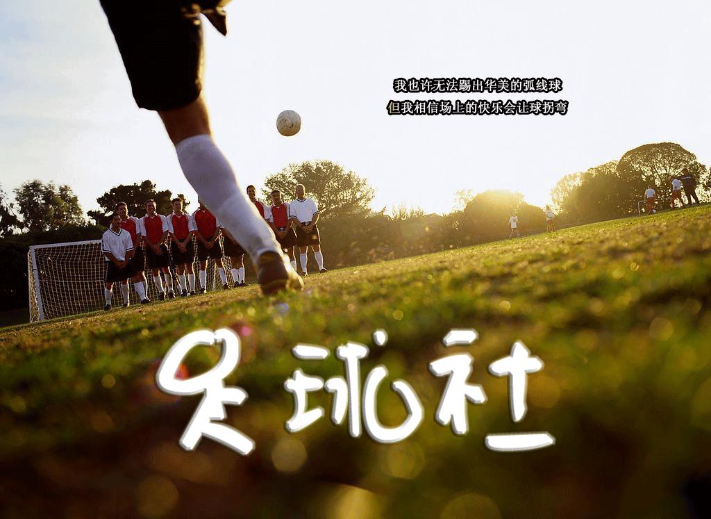 踢足球的职位,踢足球如何成名