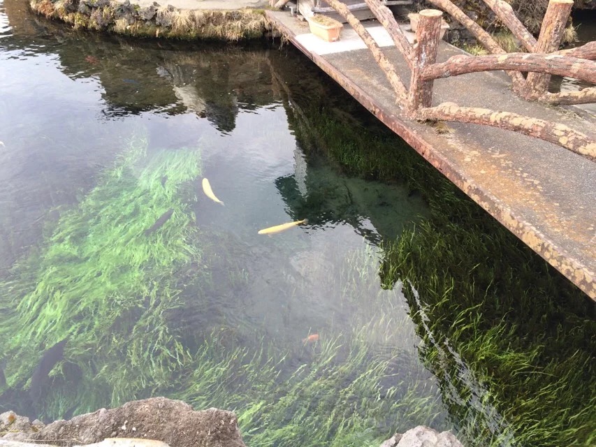 日本旅游马桶,日本旅游购物攻略一览表