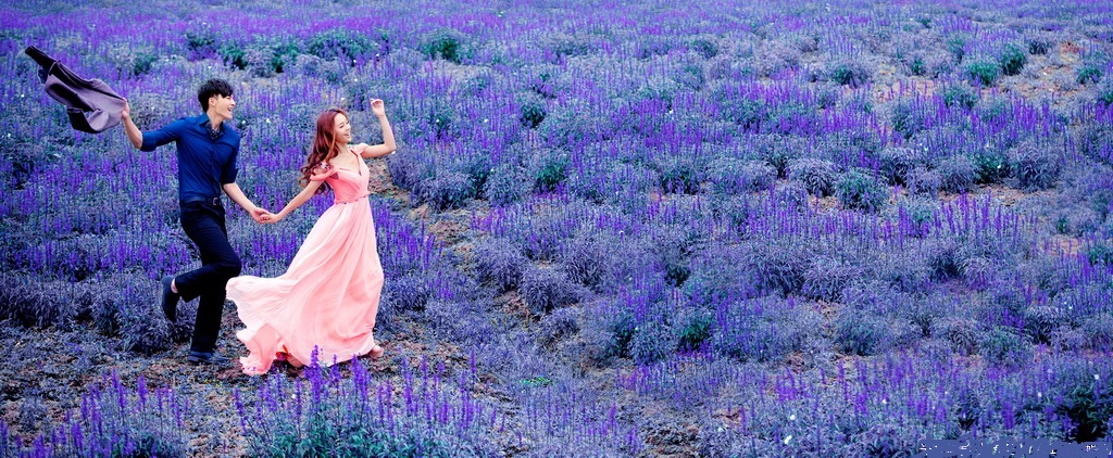 醉美的花海美景,醉美的花海视频