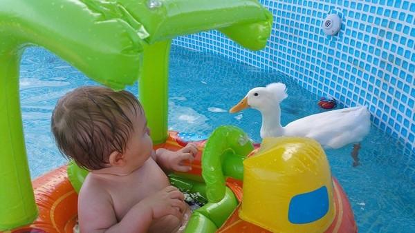 男宝宝小游戏玩具,男宝宝小游戏