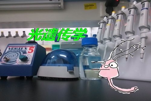 光控大脑,大脑的锁怎么开