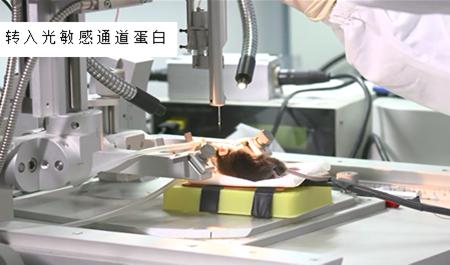 光控大脑,大脑的锁怎么开