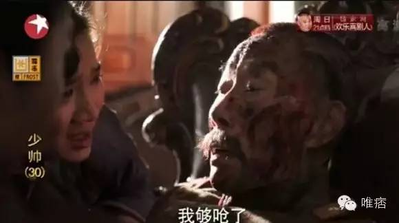 一个人坑好几个人的电视剧,少帅这部电视剧受文章影响了吗