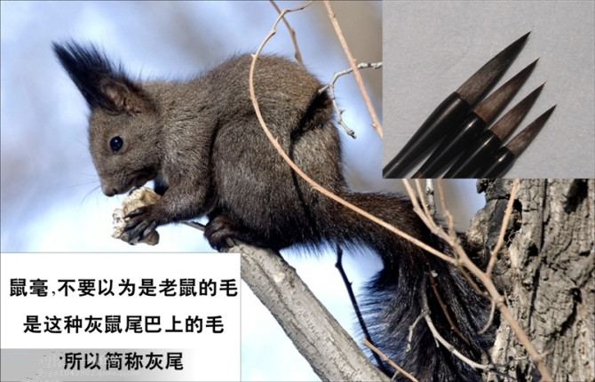 洗毛笔的正确方法视频,毛笔墨汁怎么洗