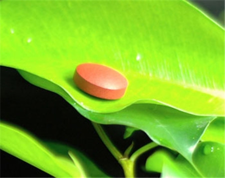 女性助孕药,助孕药有哪些