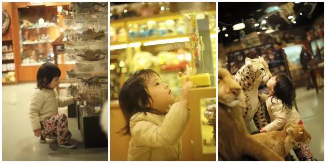 台北五日游亲子攻略,儿童台北旅游攻略