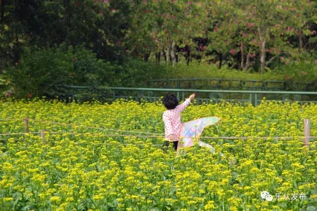 您好，2017年｜阳光灿烂，花果飘香，迎新年这些地方你不得不去！