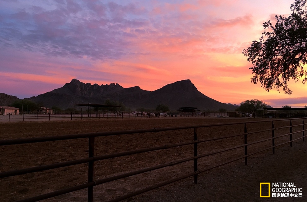 图森仙人掌,图森地理位置