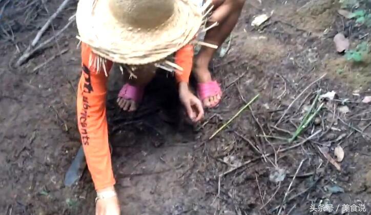 农村里的人是这样抓野鸡的,用细竹竿做陷阱很好用