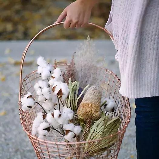 韩剧里撩妹，流行送棉花？嗨，一切都是套路！