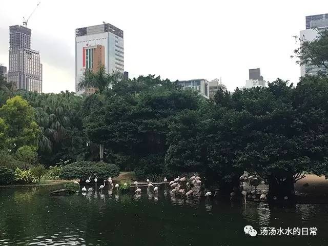 香港尖沙咀除了买买买，还有这些有特色的小众选择
