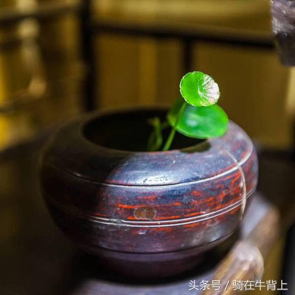 乾隆六下江南去的是哪些地方,徐志摩家乡旅游攻略