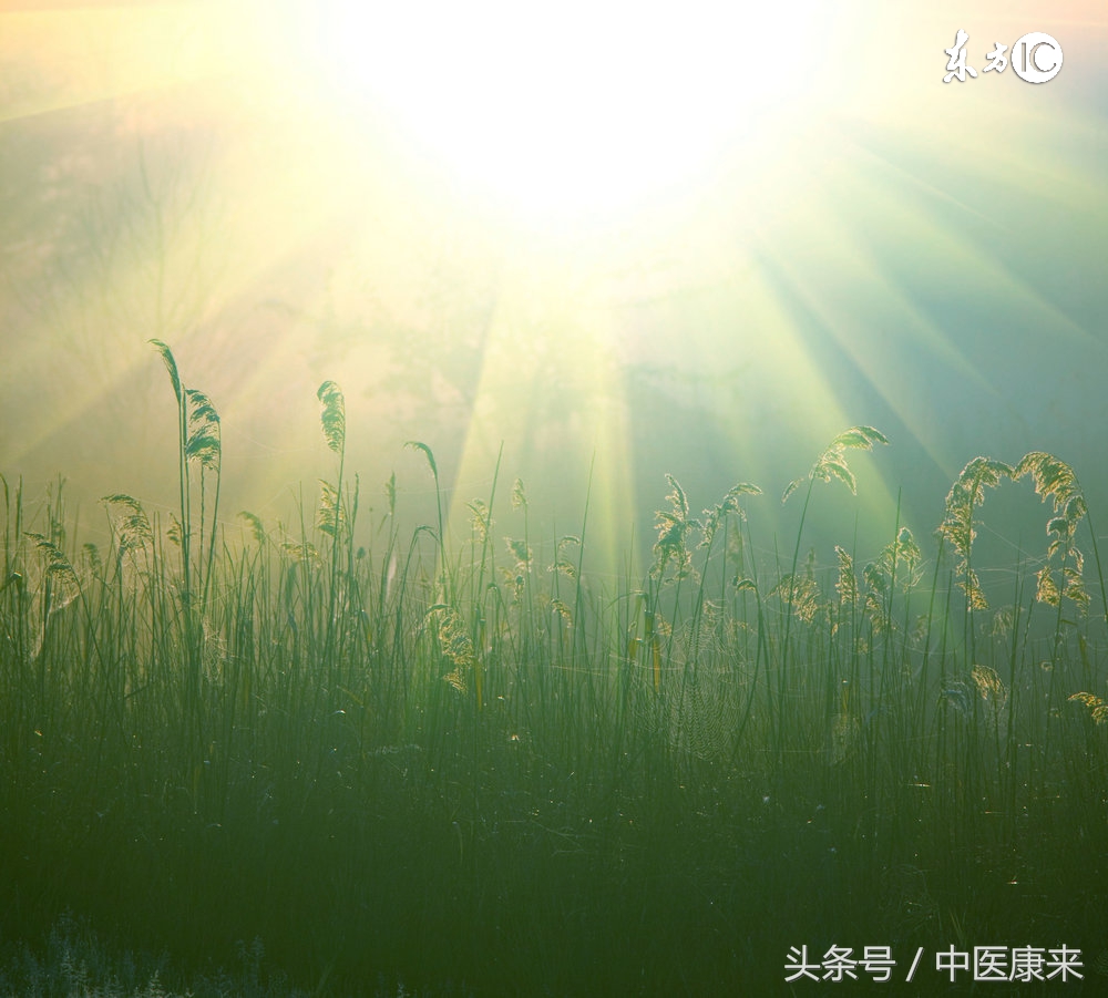 早晨起床头晕恶心是啥原因,孩子早晨起床头晕怎么回事