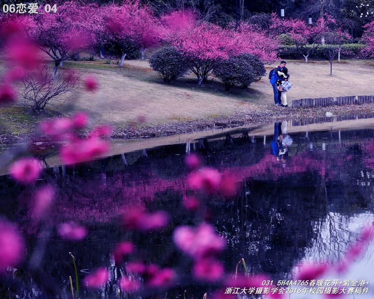 浙江大学是中国最水的大学,一分钟带你了解浙江大学
