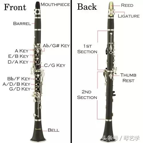 木管乐器中花腔女高音,单簧管木管乐器