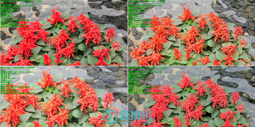 不一样的手机lg,不一样的双屏手机