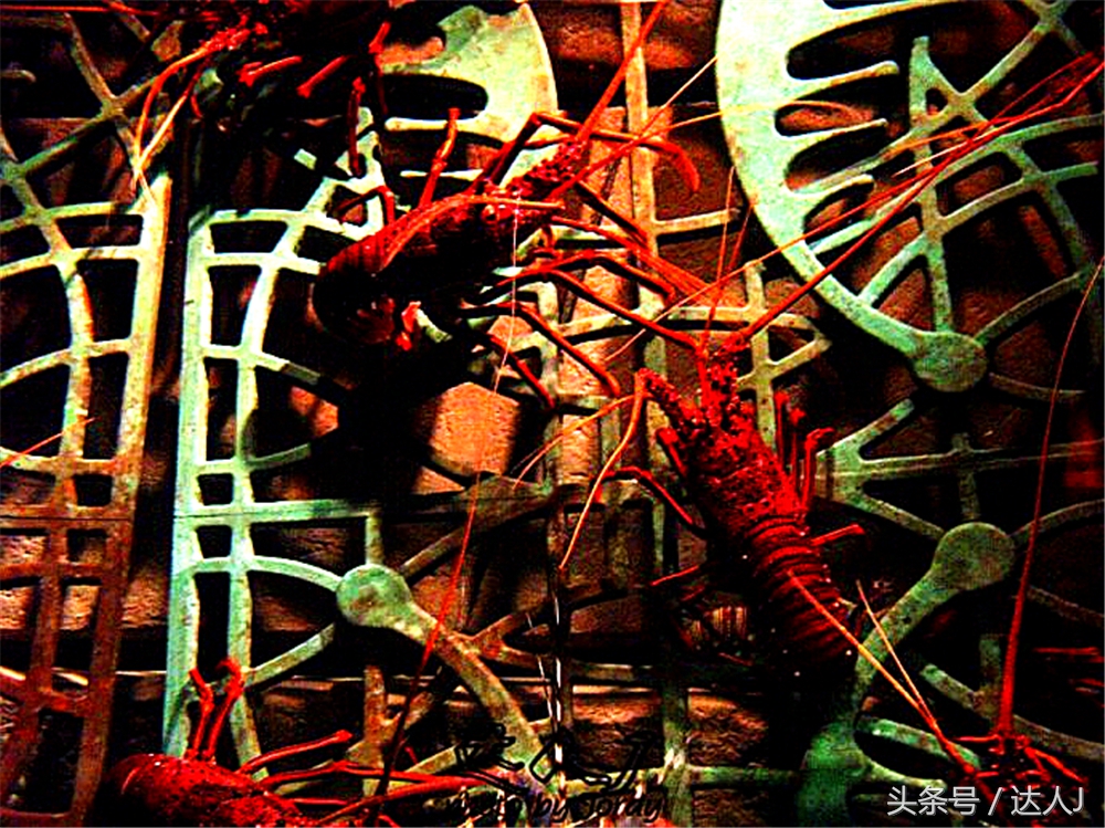 沙漠上的超级绿洲迪拜,迪拜沙漠上的奢华之都