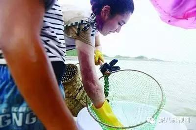 烧伤事件双方粉丝互撕六年，他们承受无尽痛苦，却总是被揭旧伤疤