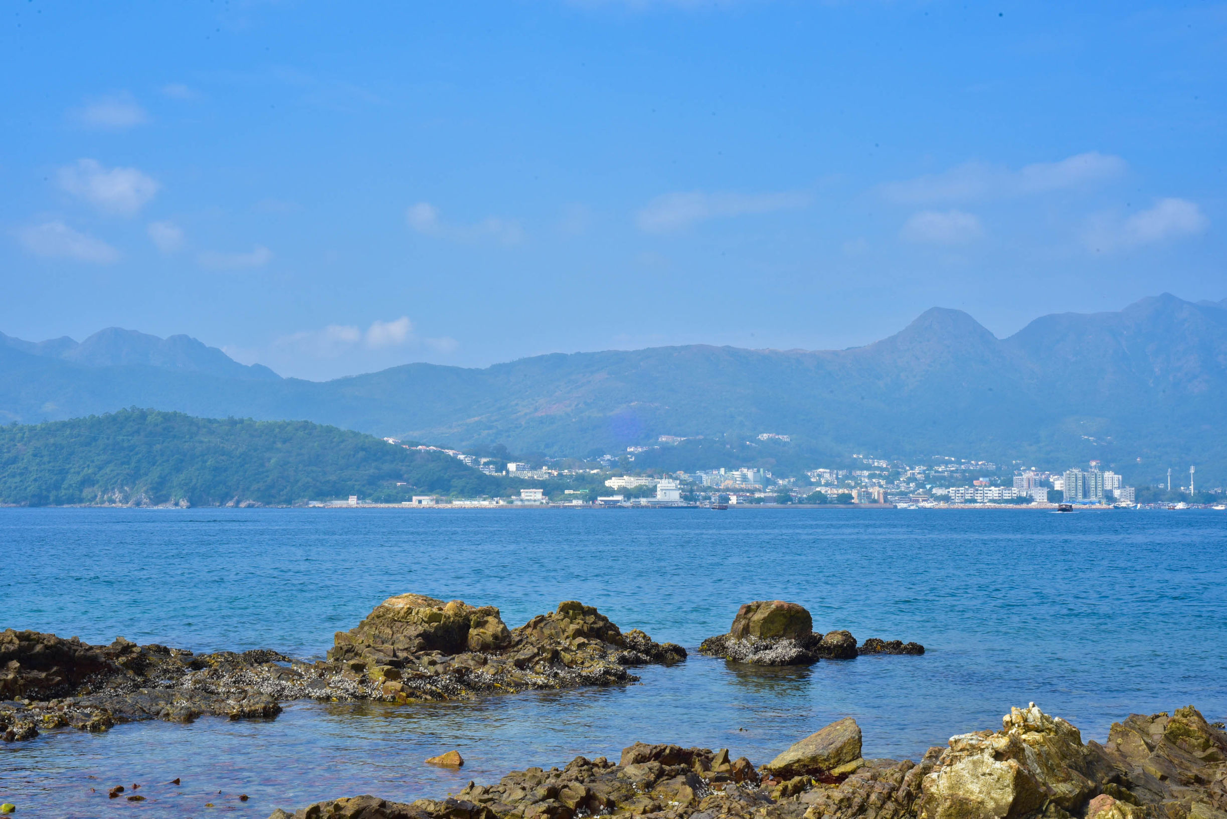 兔子游日本,兔子海边旅行记