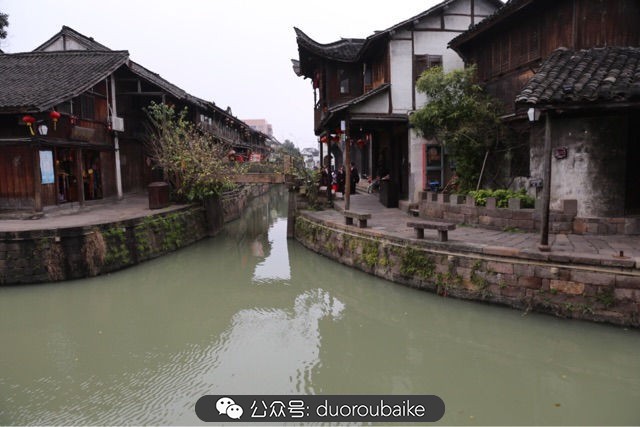 古镇寻肉记:那些旅行中遇见的植物!