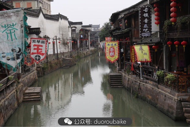 古镇寻肉记:那些旅行中遇见的植物!