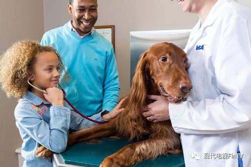 MMs生产商不只生产巧克力还收购动物医院抢尽毛小孩商机