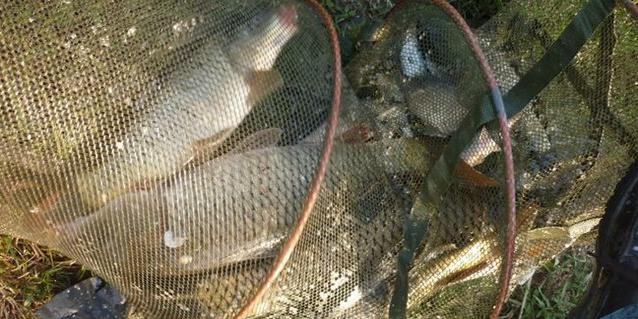 钓友公认最好日本5.4米鱼竿,钓友公认最好日本6.3米鱼竿