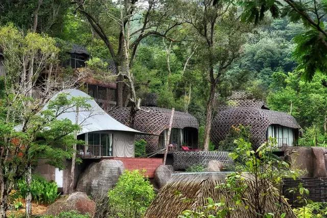楦熷发搴﹀亣閰掑簵浣撻獙,闅愯棌鍦ㄥ師濮嬫.鏋楃殑娴峰崡楦熷发閰掑簵