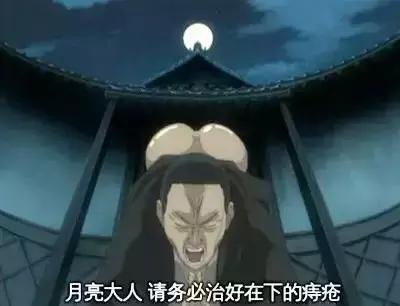 哪种菊花最苦,哪种菊花是苦的