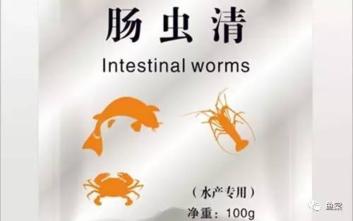 新手如何饲养龙鱼魟鱼,如何养好龙鱼跟魟鱼