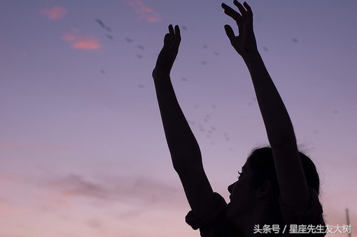 十二生肖里最有老大的权力的星座,十二生肖谁最聪明且能当大老板