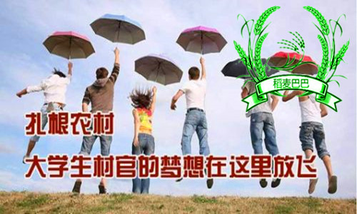 大学生当志愿者的感悟,大学生当干部感想