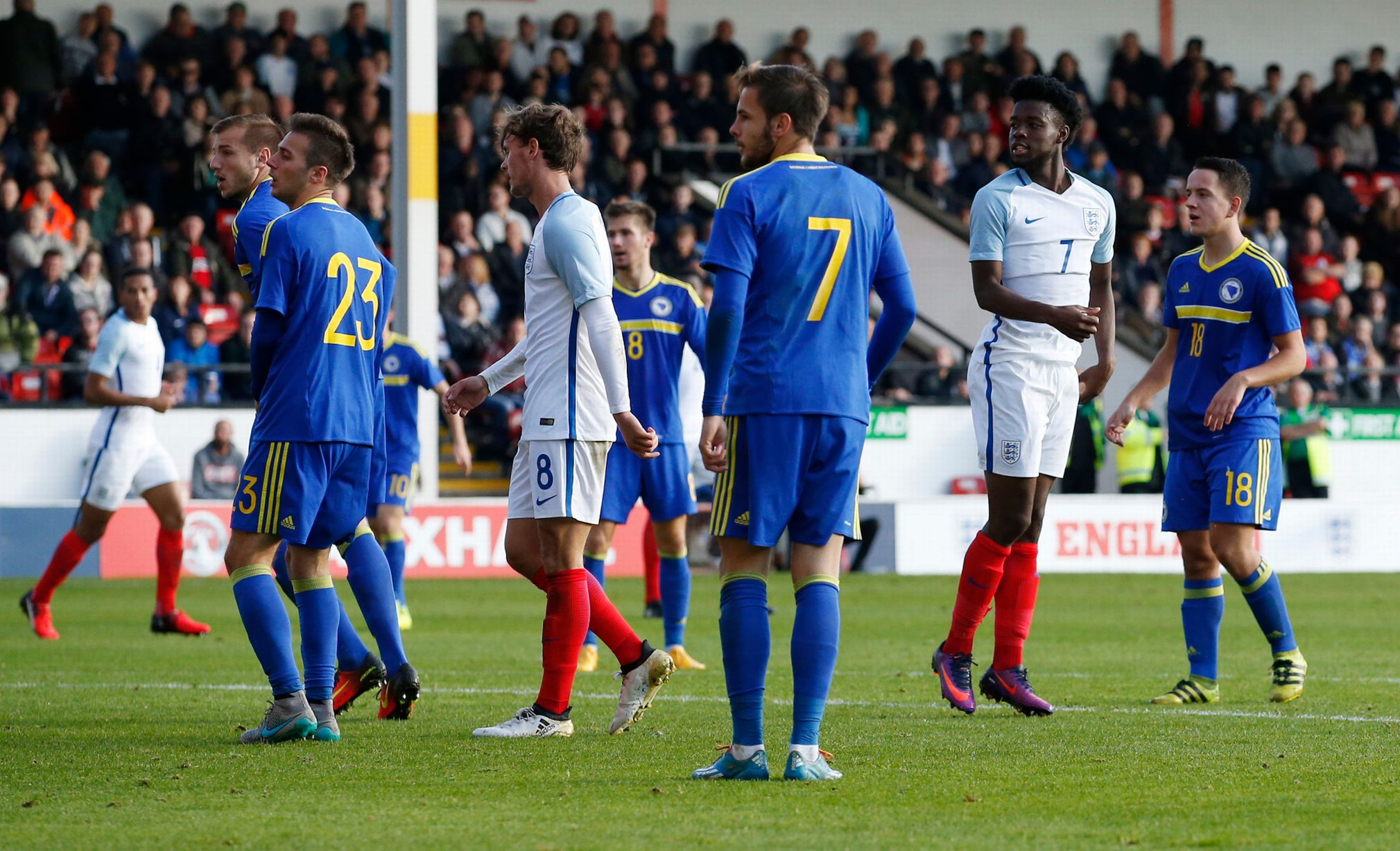 波黑足球队实力有多强,波黑足球队