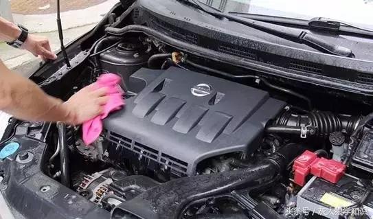 老鼠洞里挖出来花生,老鼠偷花生被发现