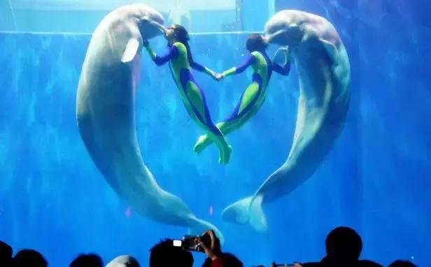 哈尔滨旅游攻略冰雪,冰雪之旅哈尔滨旅游攻略