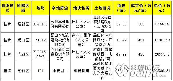 壹周刊156期合肥南七变身高端商圈中环城年味十足