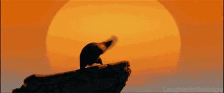 跆拳道搞笑视频恶搞版,跆拳道搞笑高清图片