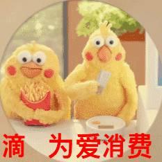 这两只在日本爆火的贱鹦鹉，一定能成为表情包界最火的新网红！