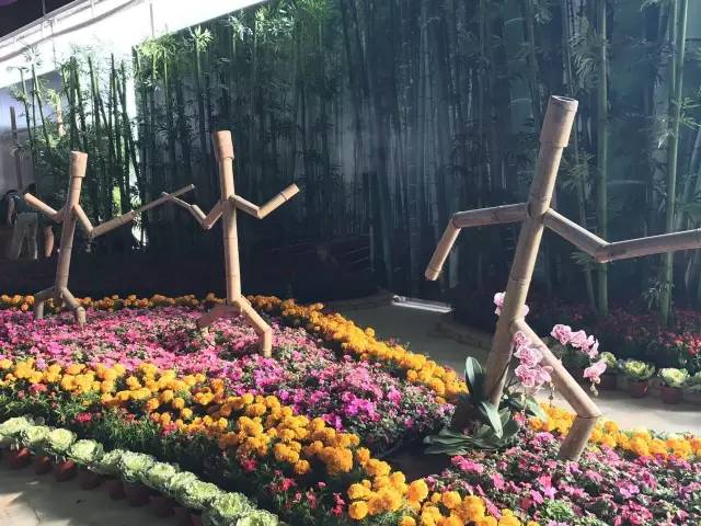 就在今日,百万鲜花盛放!南海这个“花花世界”等你来赏!