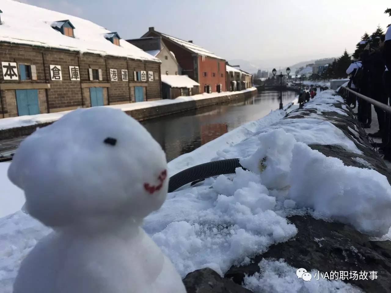 大阪京都五日游攻略大全,攻略318