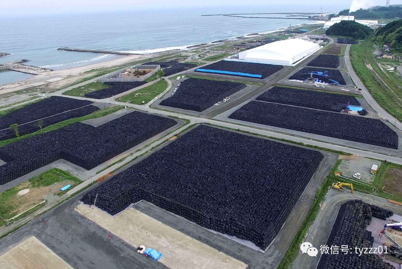 孙歌音频,孙歌所有视频