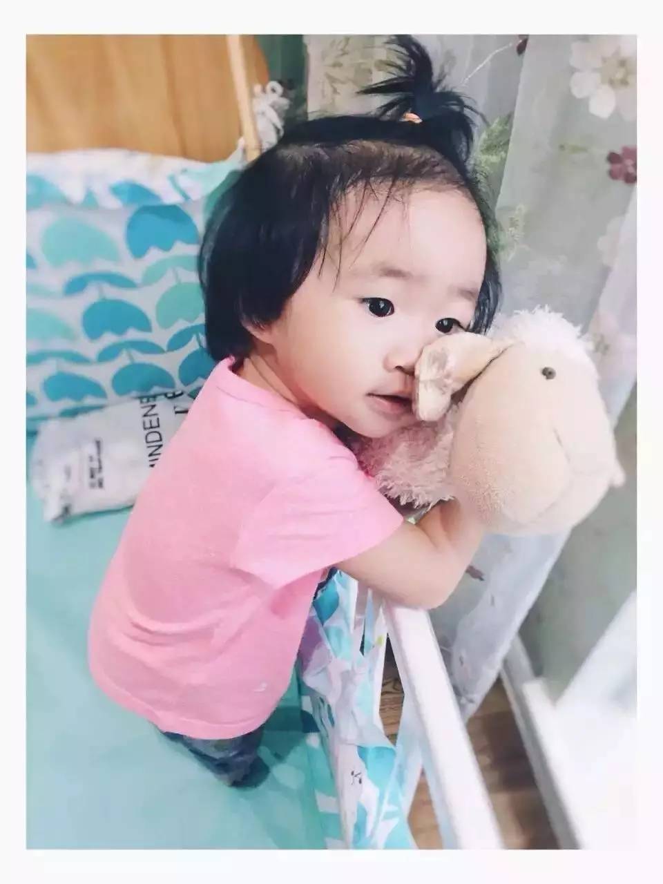 读者来稿丨抱着邦尼兔睡觉、拎着定型枕逛街、在公园里给土豆推秋千……小朋友的安抚物大集合！