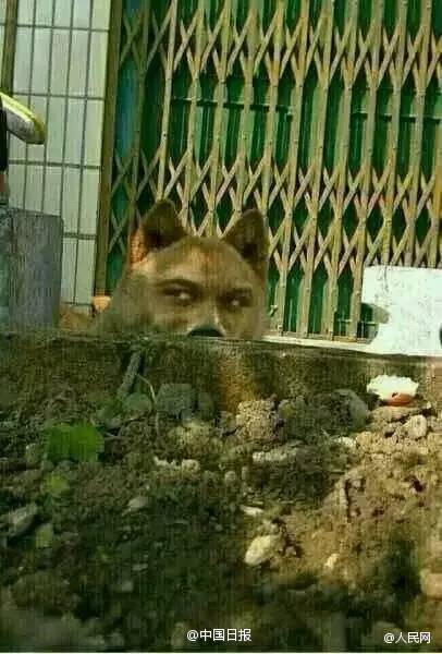 婚恋中男人不能犯的100个错误,婚姻男人不能过分迁就女人